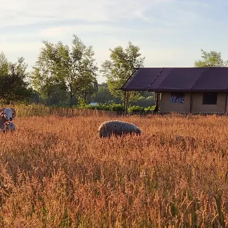 Luxury Safari Tent Near Veluwe *